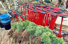 В Нижегородской области выполнены работы по искусственному лесовосстановлению на площади 2,7 тыс. гектаров