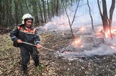 Пожар в Бузулукском бору площадью 100 га тушат более 300 человек и авиация МЧС