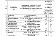 В Самарской области начался отстрел голубей и ворон