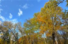 Областной суд пересмотрит генплан Самары из-за "пропавших" лесов