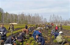 Лесоводы Башкортостана готовятся к новому сезону