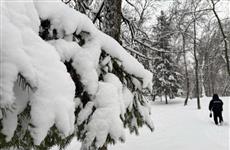 Синоптики прогнозируют аномальную погоду на февраль в Самарской области