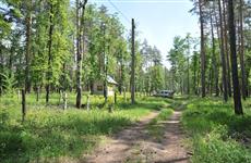 Мэрию Самары обязали восстановить 63,6 га леса 