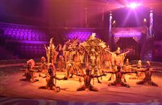 Цирковое шоу Гии Эрадзе "Песчаная Сказка" готово удивить самарцев 