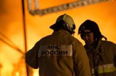 Шесть коз и 16 кур погибли во время крупного пожара в Обшаровке