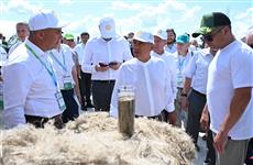 Рустам Минниханов: "Татарстан - один из лидеров сельскохозяйственного производства России"