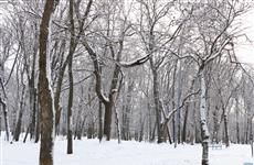 Арбитраж обязал вернуть в ЕГРН записи о лесах Самары