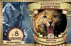 В Самаре пройдут гастроли столичного цирка "Аливрувер"