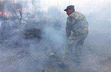 В Тольятти подозрение в поджоге городского леса пало на главного экоактивиста