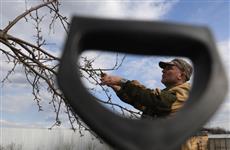 Весеннее пробуждение сада: советы агронома, как подготовить участок к новому сезону