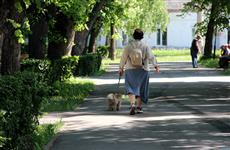В Удмуртии увеличат штрафы за нарушение правил выгула собак 