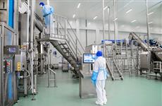 В Пензенской области завод ГК "Дамате" увеличил объемы производства продукции глубокой переработки индейки 