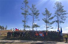 В Самарской области в рамках акции "Всероссийский день посадки леса" восстановлено 2 га леса