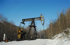 Суд подтвердил право "дочки" САНОРС оформить три земельных участка