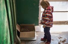 В Самаре бездомных животных стало на 1,4 тыс. больше