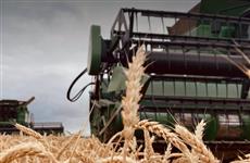 Итоги года, Ульяновская область: сельское хозяйство