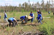 В Тольятти готовится посадка леса в честь героев Первой мировой