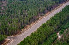 Дороги Марий Эл приводят в нормативное состояние 