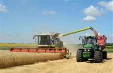 В Оренбуржье намолочено 3,8 млн тонн зерна нового урожая
