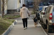 В Самарской области приняли закон о регистрации домашних животных