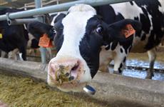 Кировские сельхозпредприятия получили 745 млн рублей на поддержку производства молока
