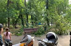 В парке Гагарина огромная ветка упала на коляску с младенцем