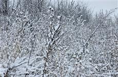 В Чувашии в ряде населенных пунктов произошло отключение электроэнергии из-за погоды 