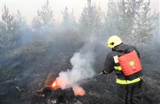 В Тольятти тушат лесной пожар