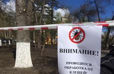 В Самаре началась противоклещевая обработка территорий