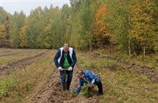Нижегородская область вошла в топ-5 лидеров экочеленджа в поддержку акции "Сохраним лес"