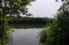 Водолазы достали из озера под Сызранью тело 13-летней девочки