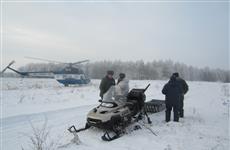 В Похвистневском районе два браконьера на снегоходе задавили кабана