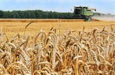В Кировской области за шесть месяцев 2021 г. на поддержку сельхозтоваропроизводителей направлено более 1 млрд рублей