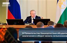 В правительстве Башкортостана обсудили вопрос вовлечения в оборот земель сельхозназначения