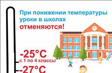 В минобре пояснили, как будут работать школы в сильные морозы