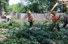 Самарцы устроили пикет, не позволяя спилить деревья в охранной зоне насосной станции