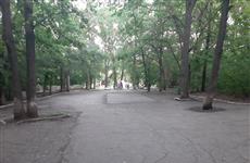 Парк 60-летия Советской власти отказались признать особо охраняемой территорией