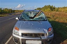 В Новокуйбышевске груз с другого автомобиля влетел в лобовое стекло Ford