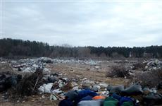 Нацпарк "Самарская Лука" через суд обязал Рождествено ликвидировать свалку