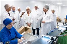 На предприятиях Мордовии внедряют корпоративную демографическую политику