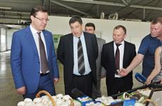 Дмитрий Азаров посетил одно из крупнейших производств шампиньонов в России — ООО "Орикс"