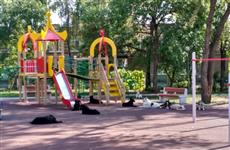 Бродячие собаки оккупировали детскую площадку на ул. Партизанской и покусали ребенка