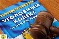 В Пензенской области в первом полугодии 2025 г. возбуждено пять коррупционных дел