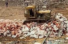 В Самаре уничтожили 18 тонн томатов без документов