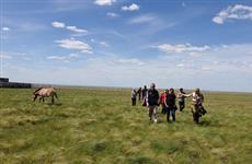 Американские и оренбургские зоологи приступают к сотрудничеству в рамках программы реинтродукции лошади Пржевальского