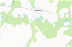 Медведь напал на мальчика и его маму, когда они собирали ягоды в Пермском крае 