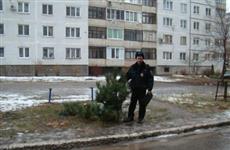 В Новокуйбышевске местный житель спилил елку около соседнего дома