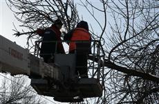 В Самаре начинается профилактика лихорадки Западного Нила