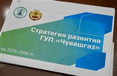 Глава Чувашии утвердил Стратегию развития "Чувашгаза"