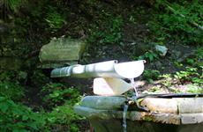 В нацпарке "Самарская Лука" появилась новая экологическая тропа